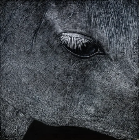 OJO CABALLO BLANCO