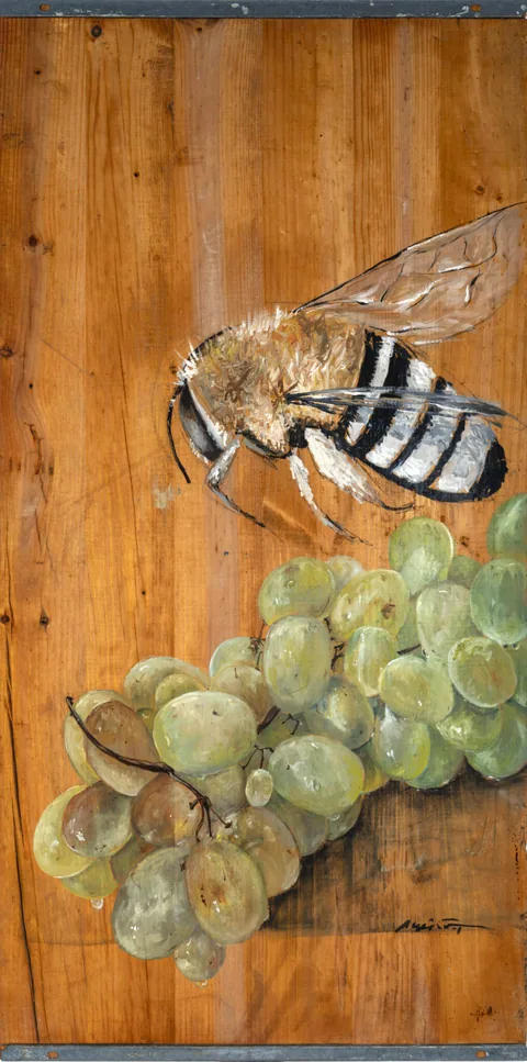 ABEJA Y TUNO