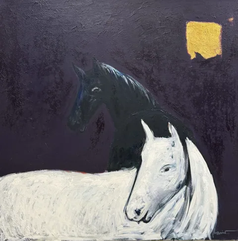 CABALLOS BLANCO Y NEGRO