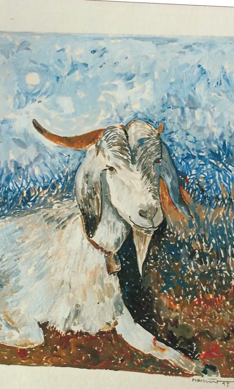 CHIVO