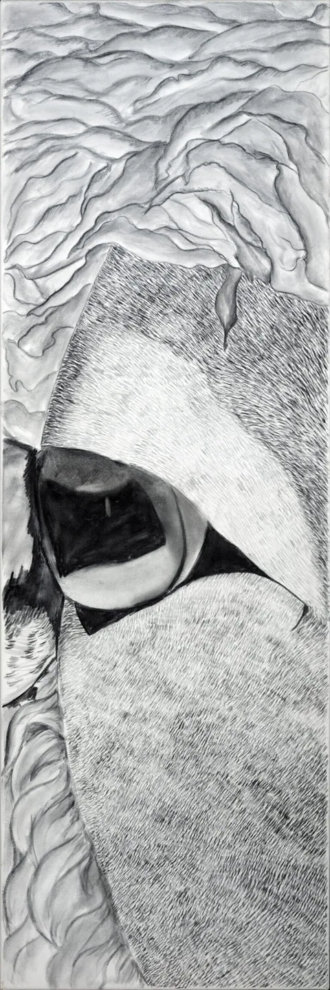 LA MIRADA DEL CORDERO