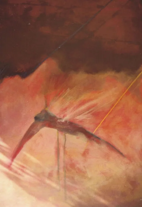 MOSQUITO
