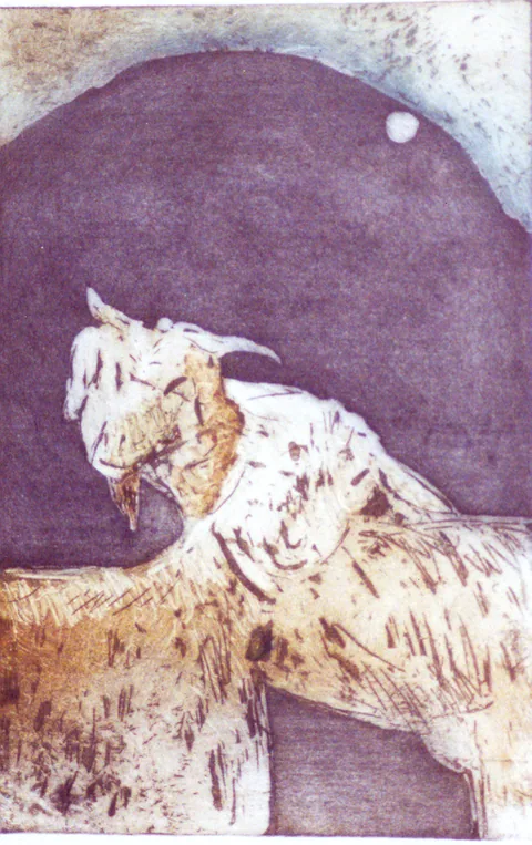 PAREJA