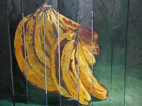 PLÁTANOS MADUROS