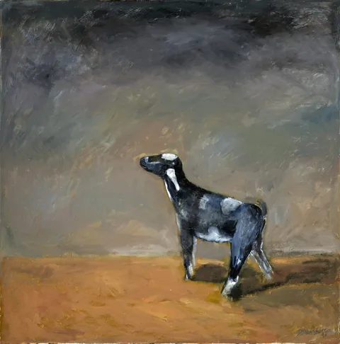 BAIFITO
