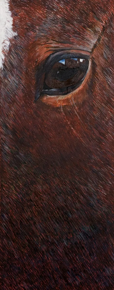 OJO CABALLO ROJO